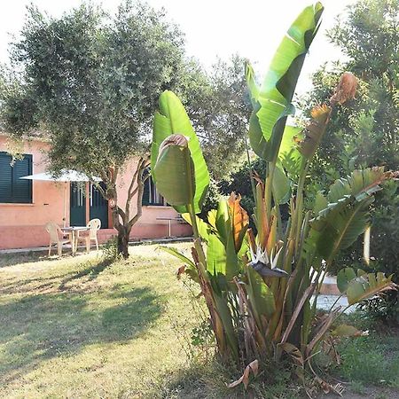 Terracorse Villa Figari  Buitenkant foto