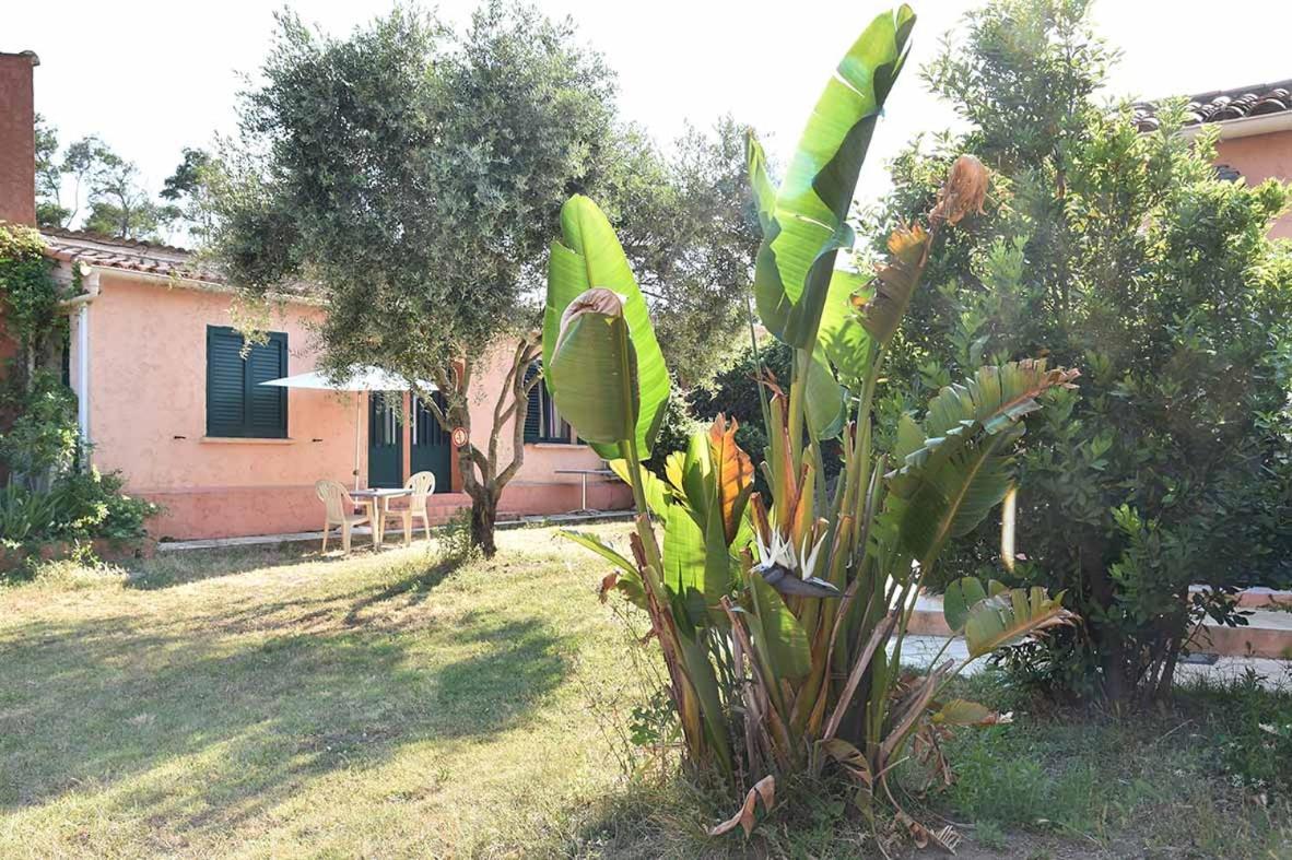 Terracorse Villa Figari  Buitenkant foto